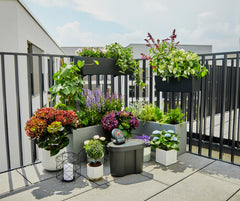 AquaBloom Automatic Plant Watering System